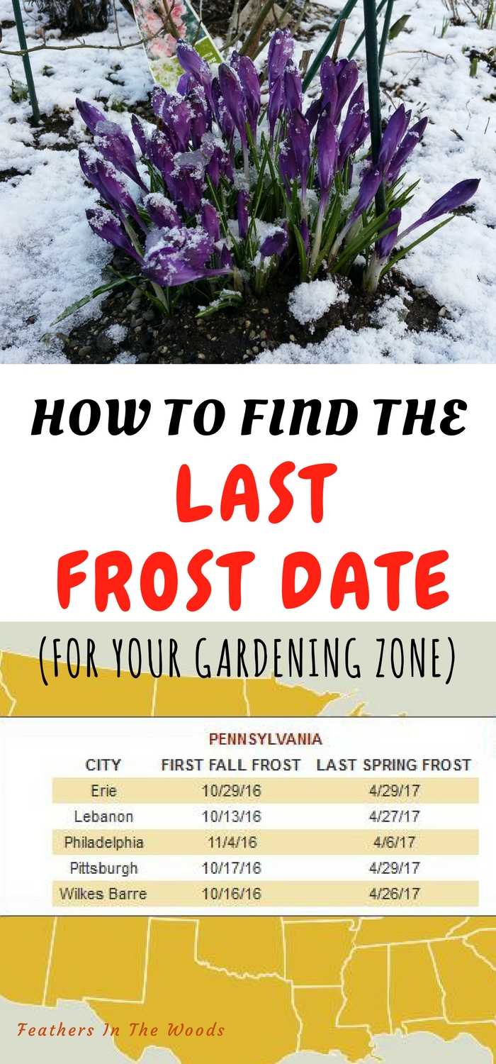 How to find out your hardiness zone and last frost date Feathers in
