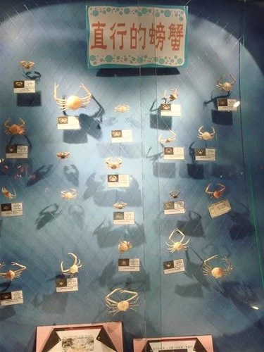 北關休閒農場 台灣螃蟹博物館