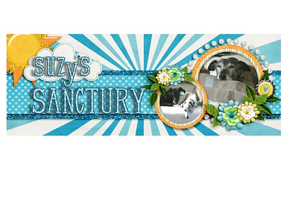 Suzy's Sanctury
