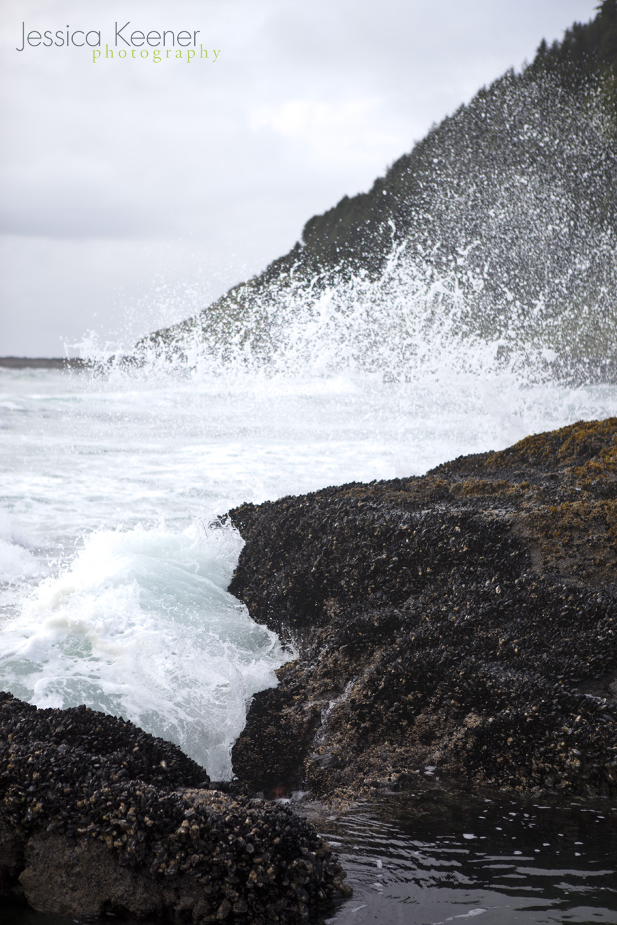 Jessica Keener Photography Cape Perpetua • Oregon Coast • Tide Pooling