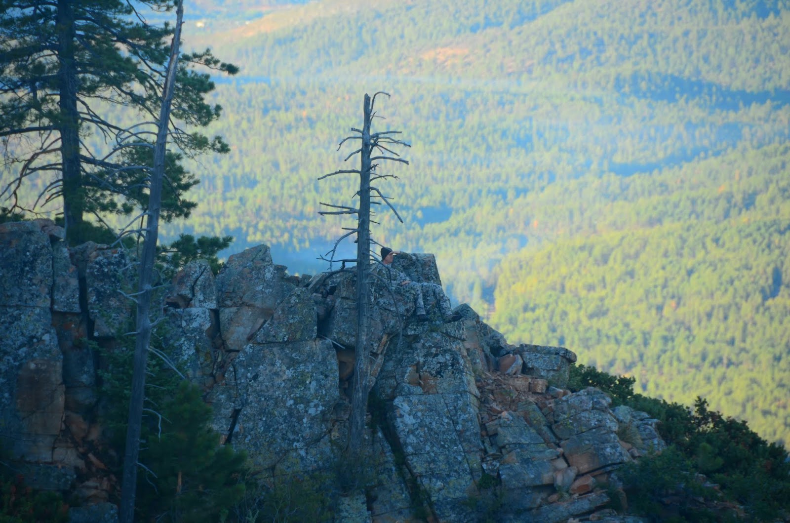 ridge reaper infil windstopper jacket