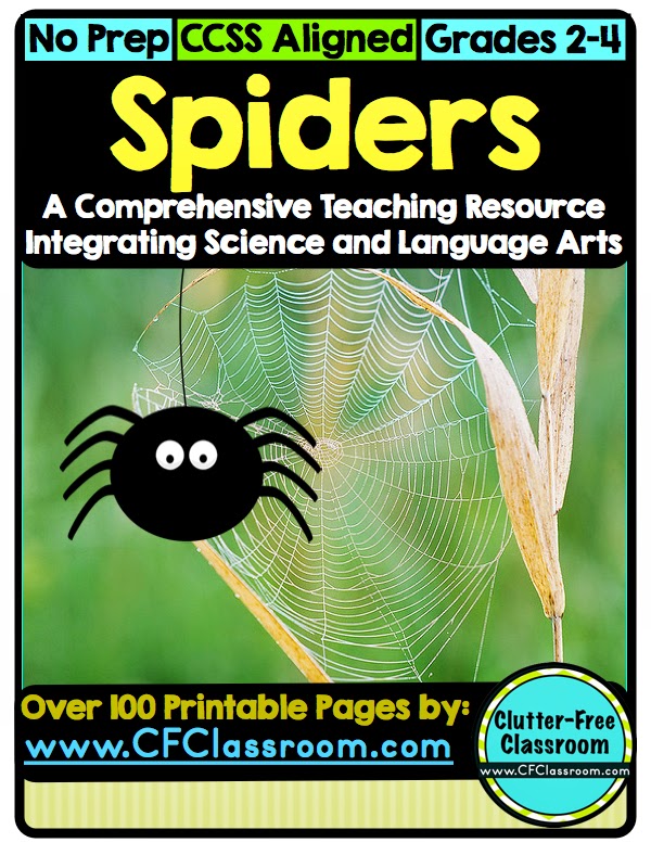 Garden spider male and female picture