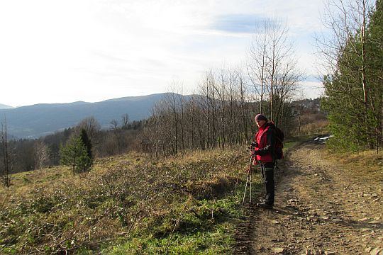 Przed górskimi osiedlami wsi Stróża.