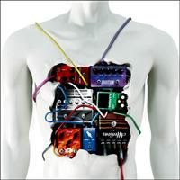 [2008] - Kanjo Effect