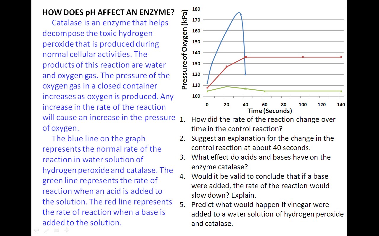 Ison Biology Data Analysis Enzymes