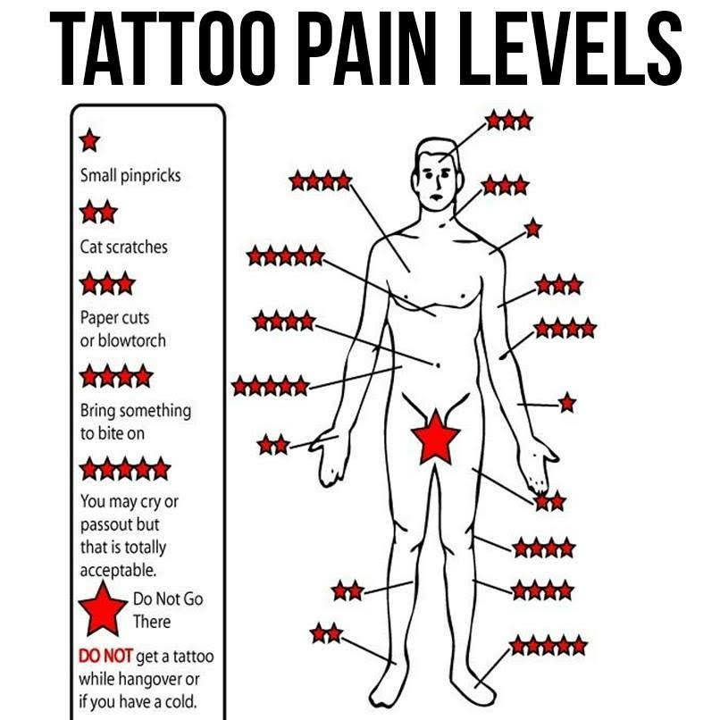 Tattoo Pain Chart for Females and Males Pain Scale Level