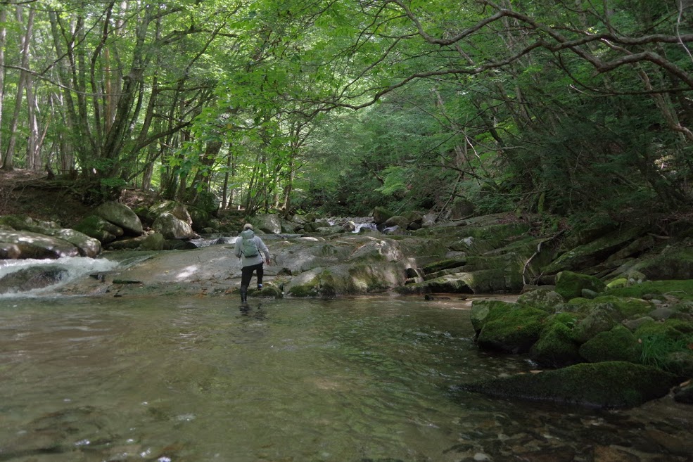 the nero republic 秋のはじめに