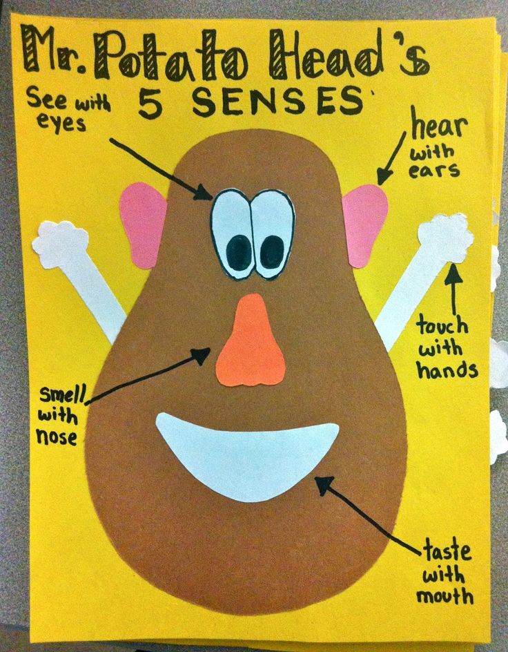 Printable Mr Potato Head 5 Senses Template Printable Word Searches