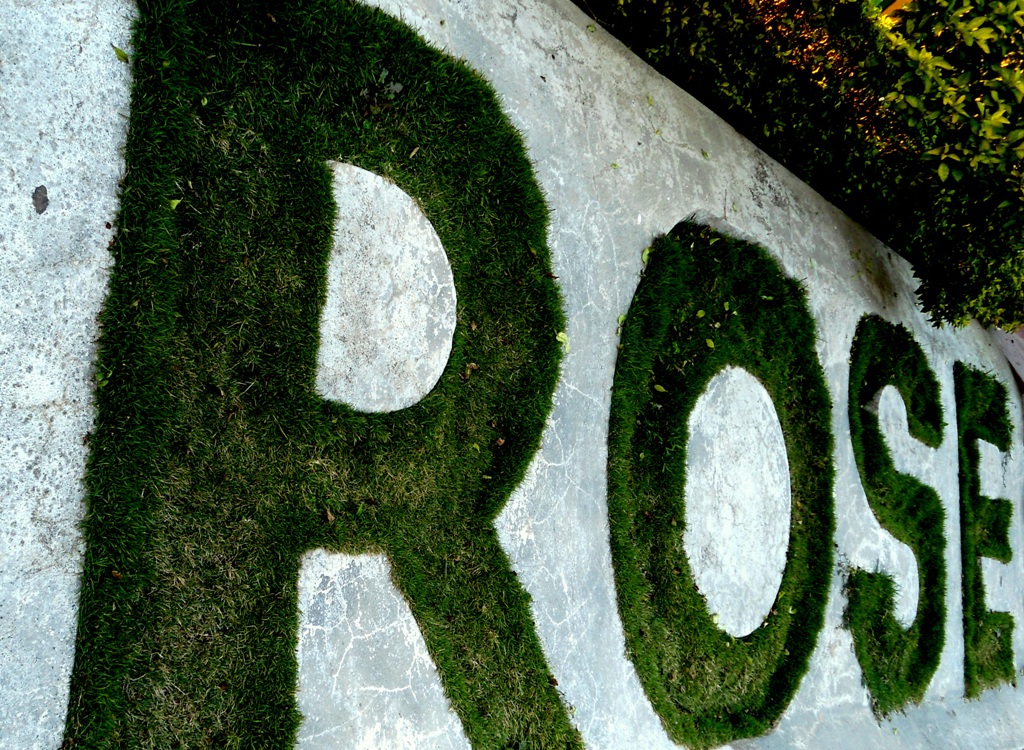 Home Thingujam's Portal