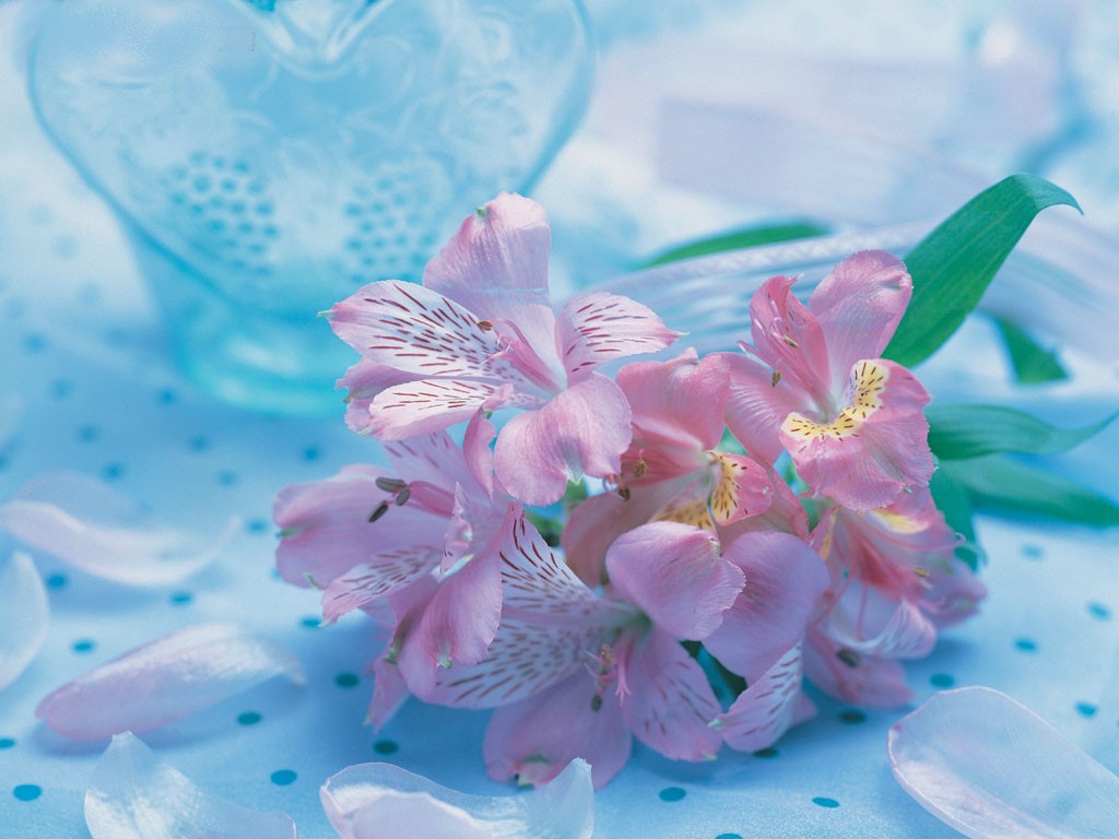 Links da WEB: Papel de Parede de Flores