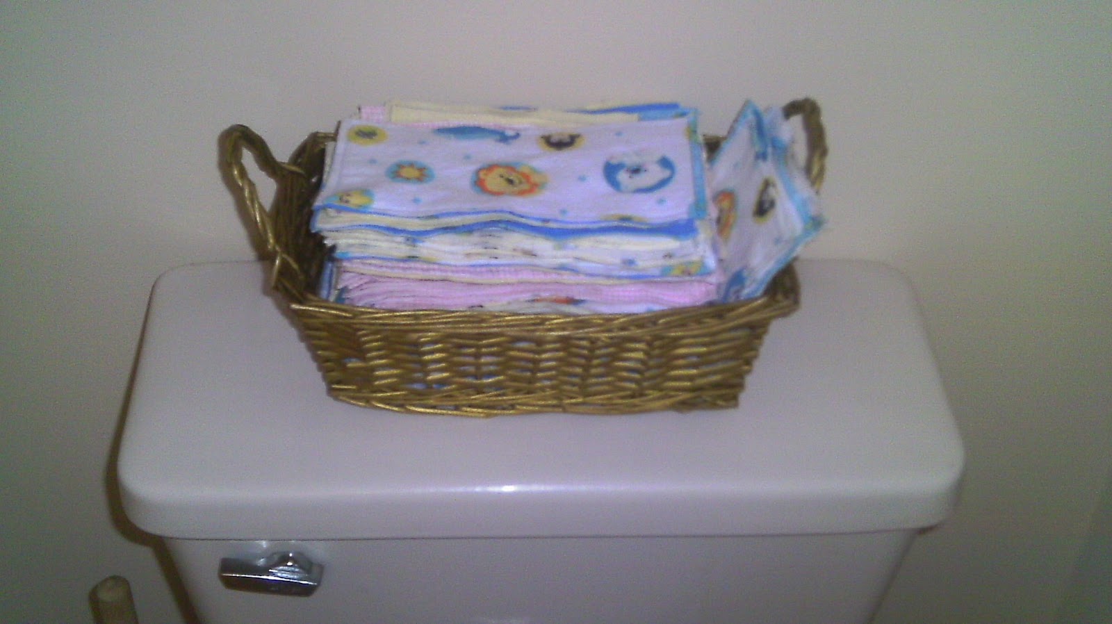 Simply 'River' Homemade Disposable Wipes, Cloth Wipes, and Family Cloth!