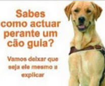 Como actuar perante um cão guia