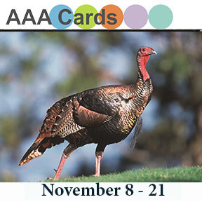 http://aaacards.blogspot.com/2015/11/game-52-thanksthanksgiving.html