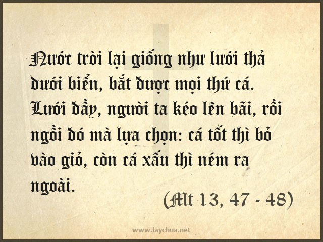 Người ta lựa cá tốt bỏ vào giỏ, còn cá xấu thì ném ra ngoài