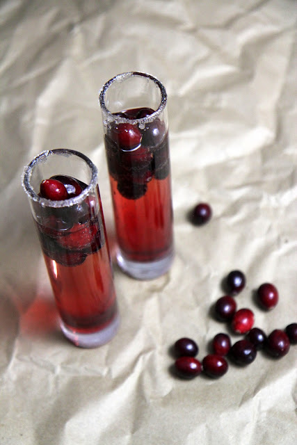 Make this delicious Cranberry Fizz Mocktail in minutes this holiday!