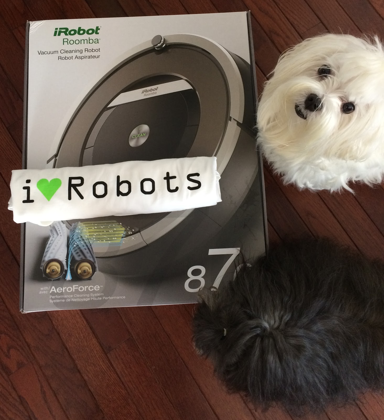 Blue Skies for Me Please: iRobot Roomba 870 Vacuum Cleaning Robot Review