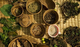 Traditional African medicine