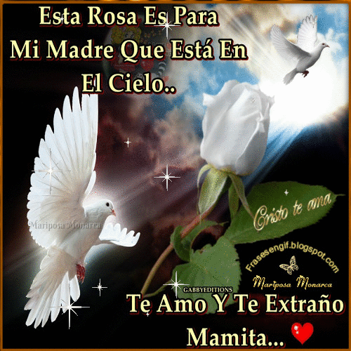 angel nieto porque murio frases en gif para mi madre angel nieto porque murio frases en gif para mi madre