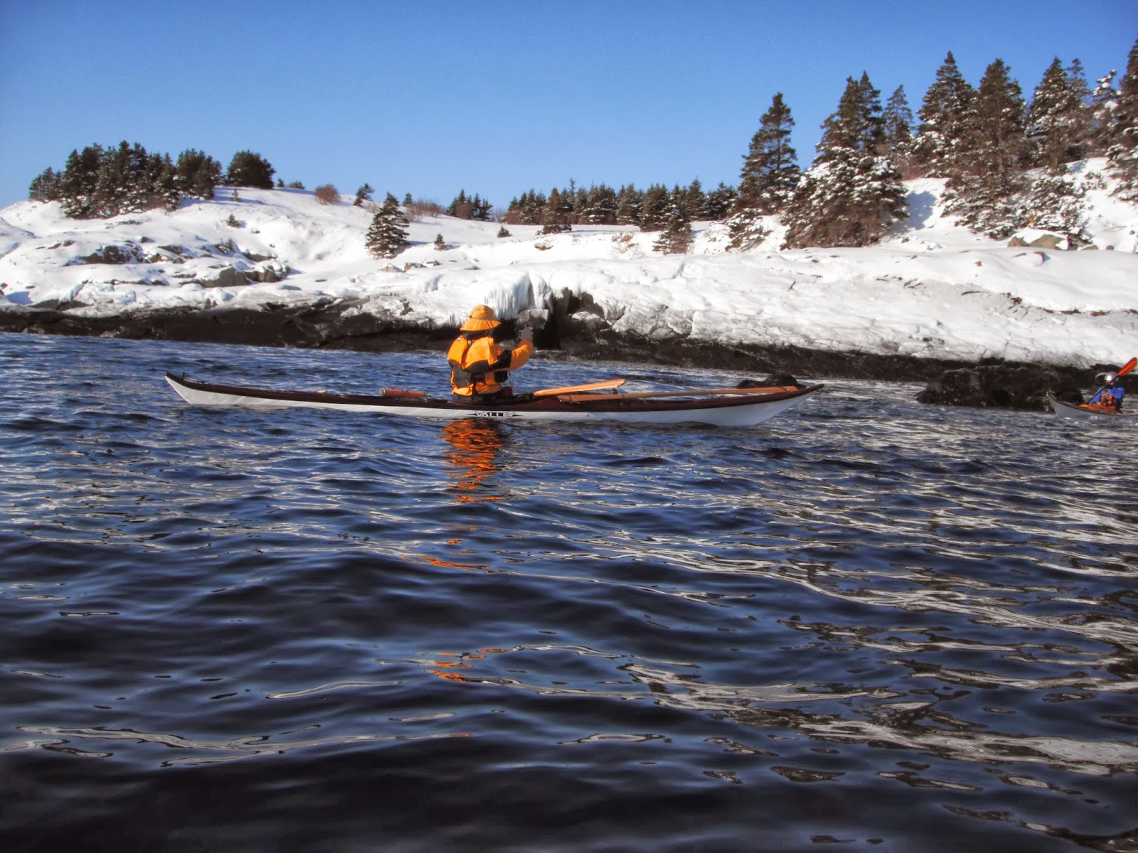 Saltwater Haven Bay Bulls February 2014