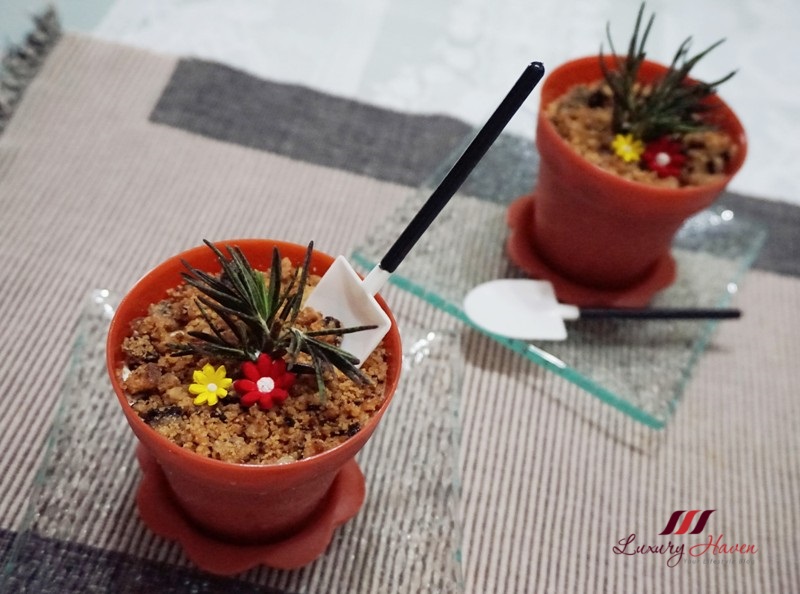 Haagen Dazs Salted Caramel Potted Plant Ice Cream Desserts