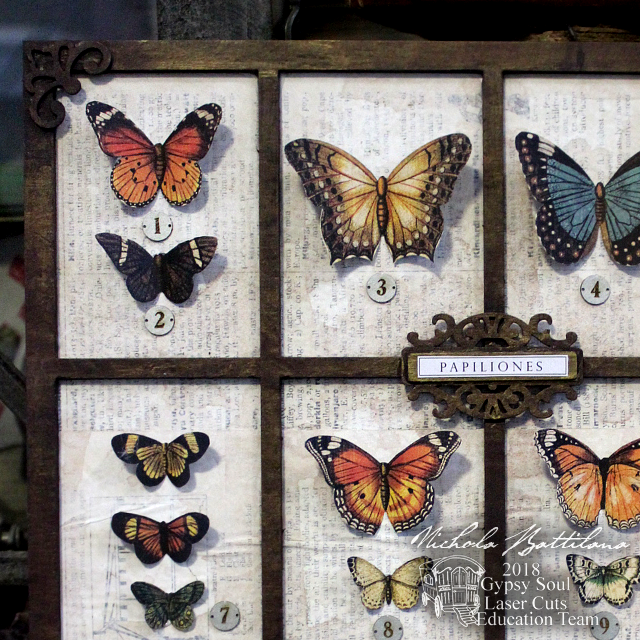 Butterfly Specimen Tray - Nichola Battilana for gslcuts.com