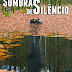 Cruzilhadas.pt | "Sombras de Silêncio - 365 dias, 365 capítulos, 1 livro" de António Cruz
