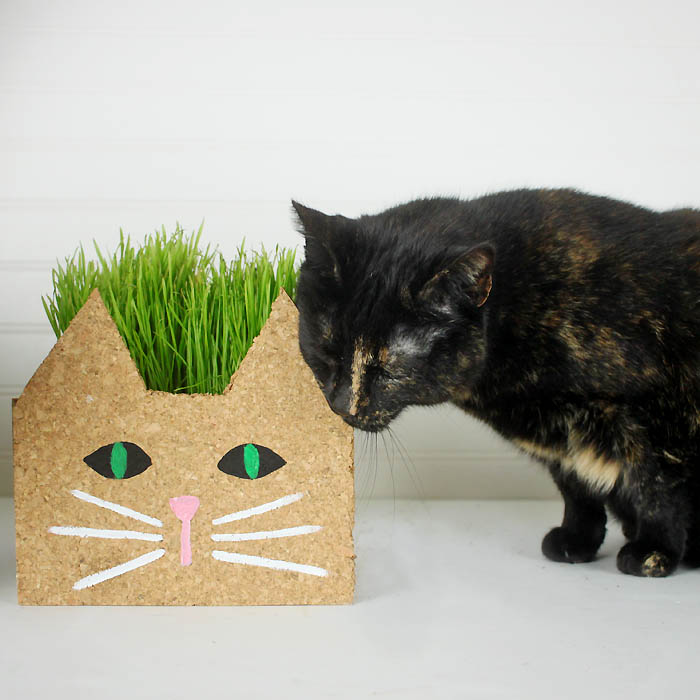 Cat Planter DIY Gina Michele