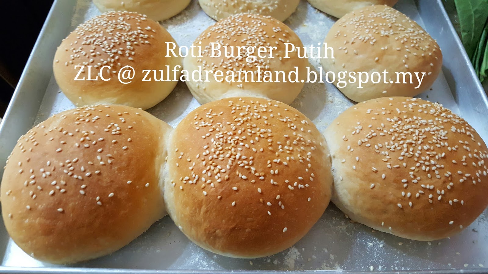 ZULFAZA LOVES COOKING: Roti burger
