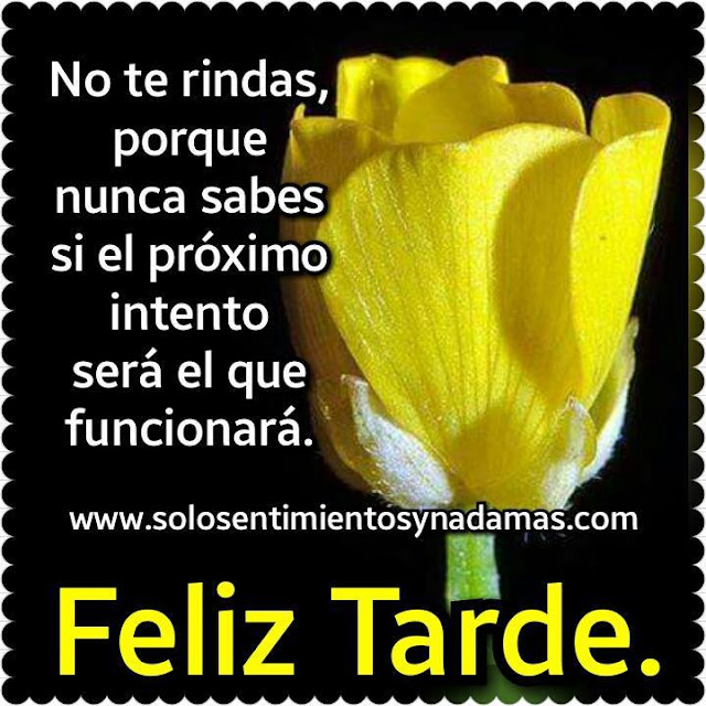 Feliz tarde.