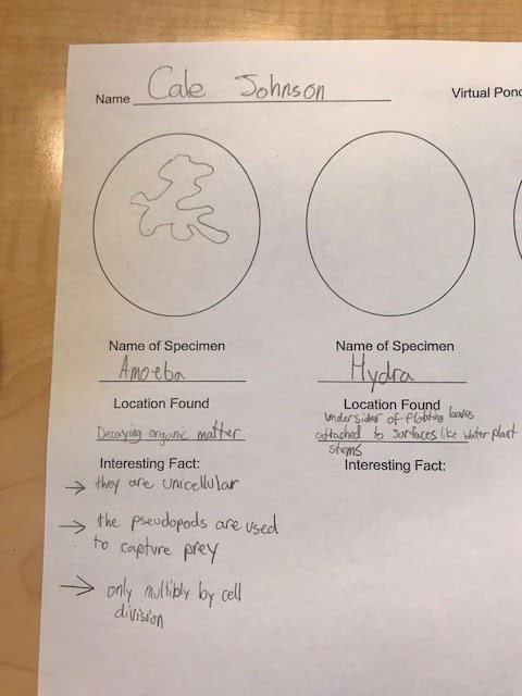Mrs Counts 7th Grade Science Class