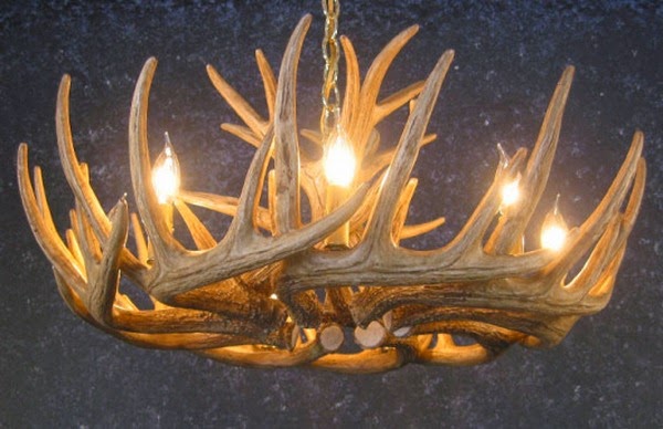 Do you dare to put the horns?