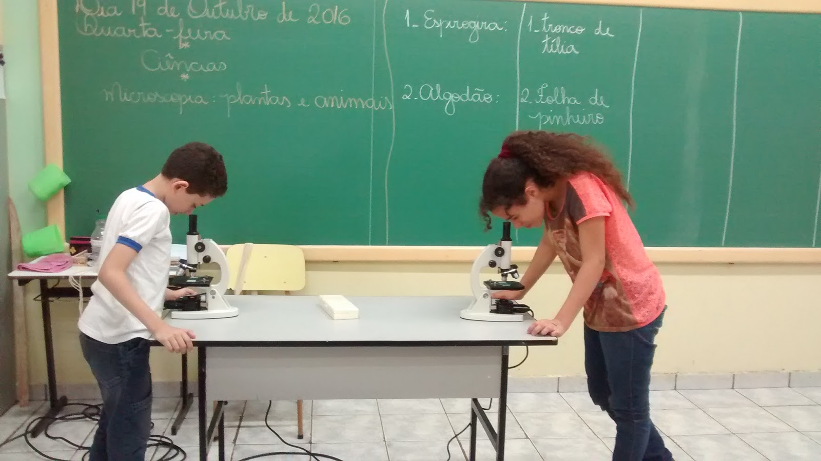 Escola Wilson Romano Calil Aula De Ciências Com Microscópio 5º Ano C