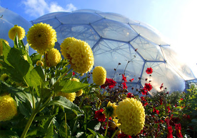 Pentewan Cycle hire for the Eden Project