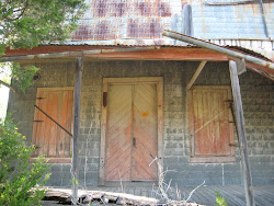 texas adventures town feed think
