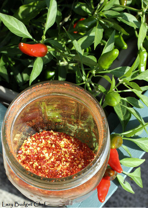 how to make apache jalapeno habenero pepper chili powder