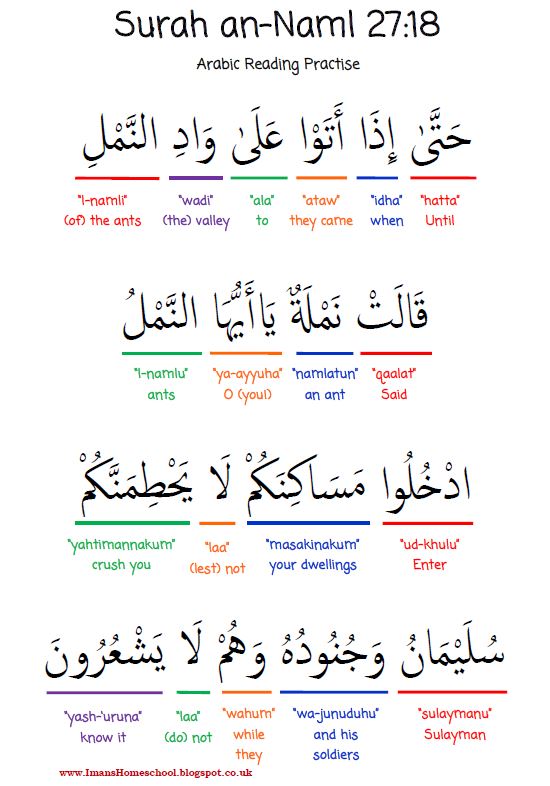 Iman's Home-School: Ant Activity Pack