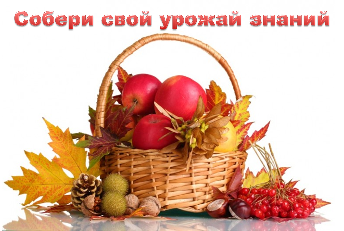 Осенняя корзина