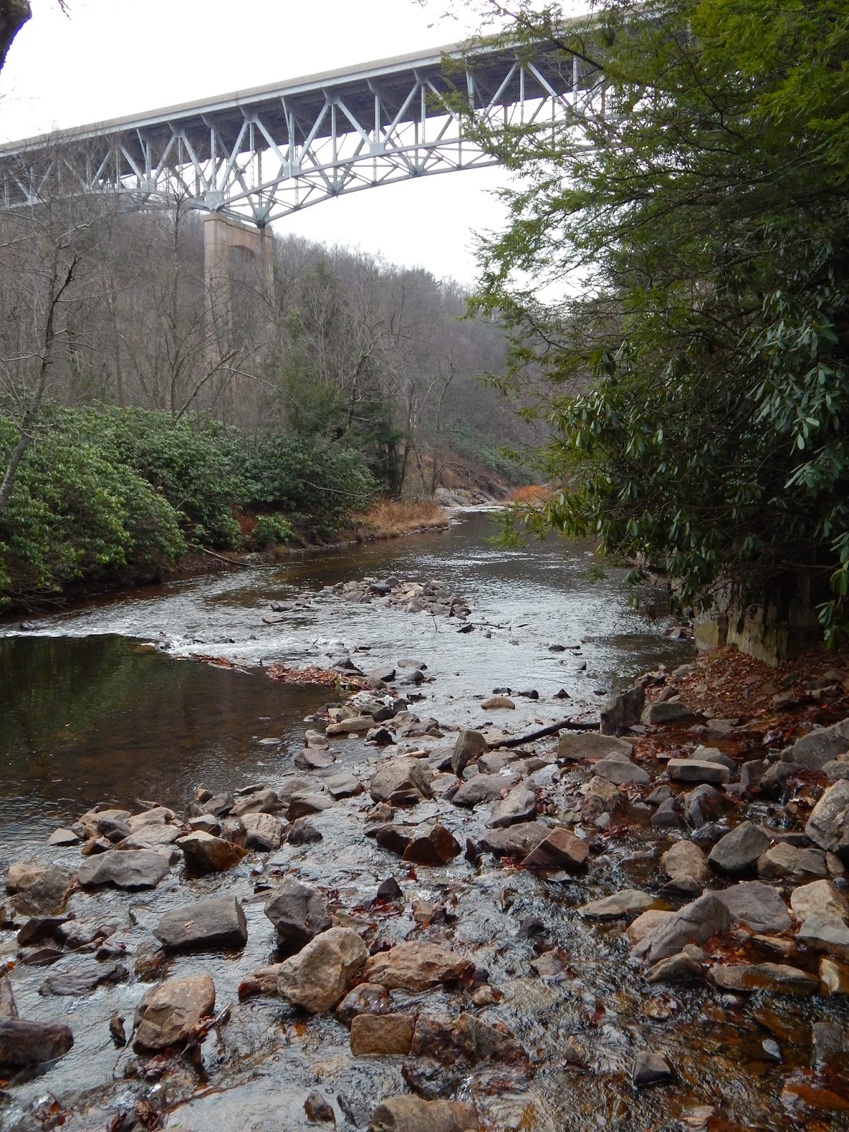 Those Who Wander Hawk Falls Trail