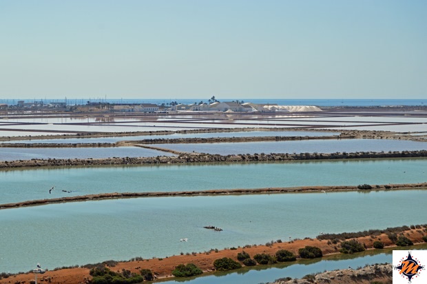 Parque Regional Salinas y Arenales visto dalla terrazza dell'hotel Lodomar Parque Regional Salinas y Arenales visto dalla terrazza dell'hotel Lodomar