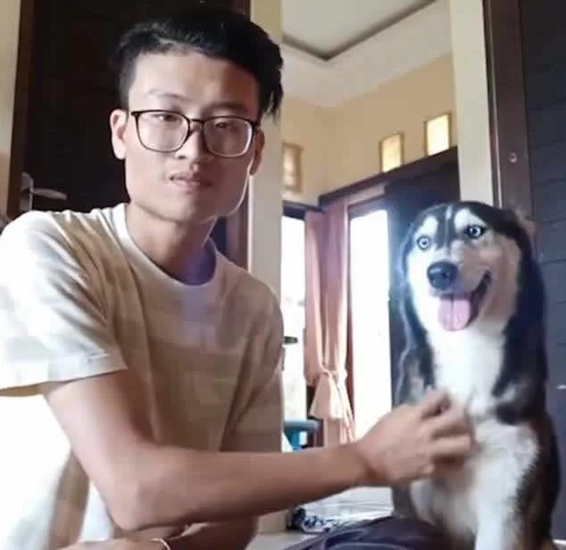 Guy Finds Abandoned Skin and Bones Husky And Helps It Recover