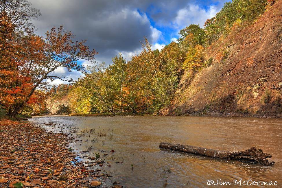 Ohio Birds and Biodiversity The cliffs of Vermilion