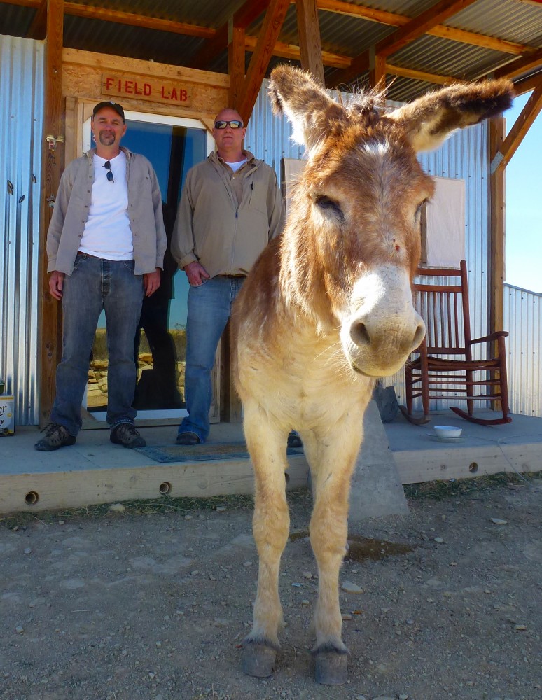 The Field Lab Austin Bike Zoo