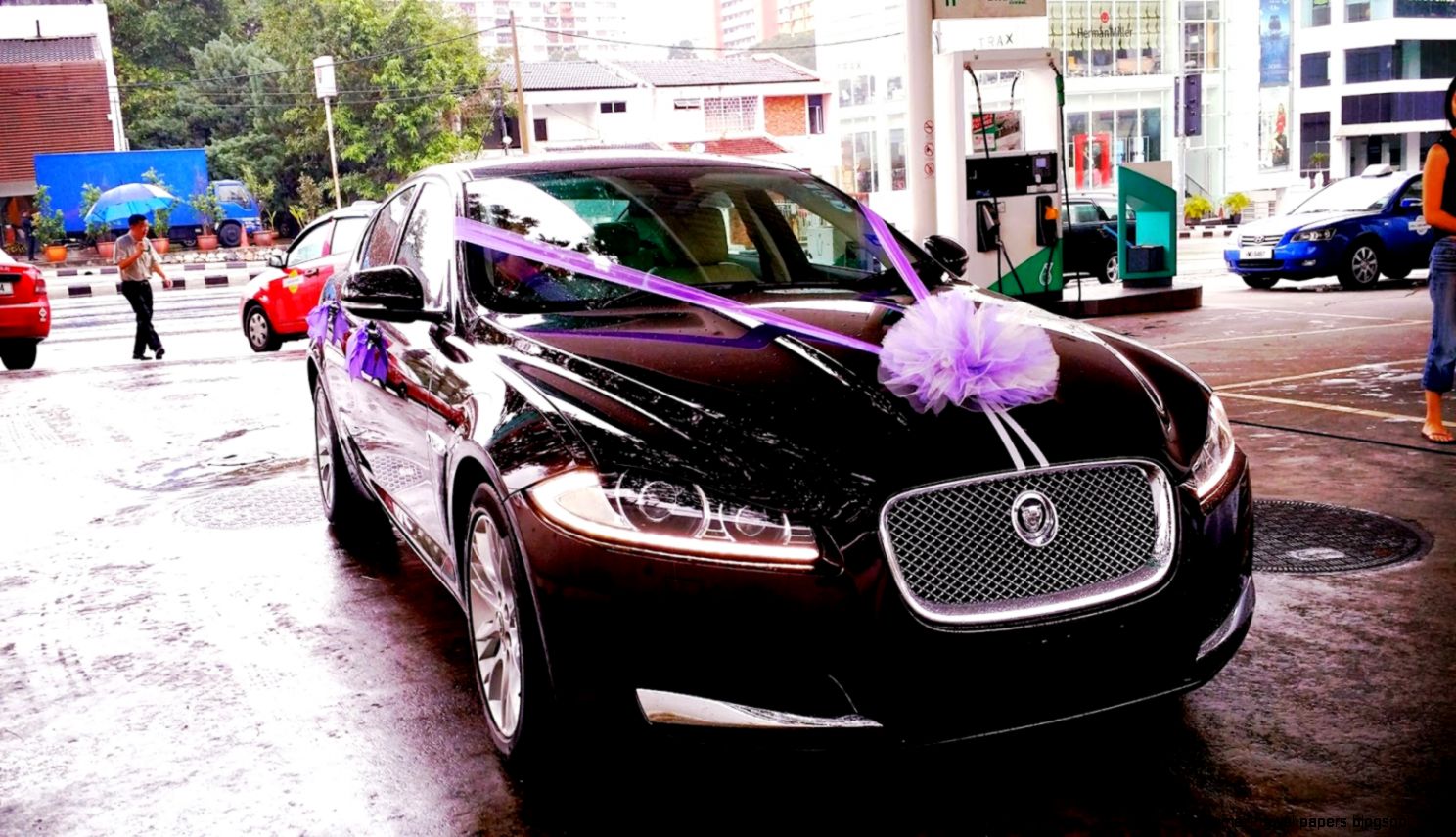 Purple Jaguar Car