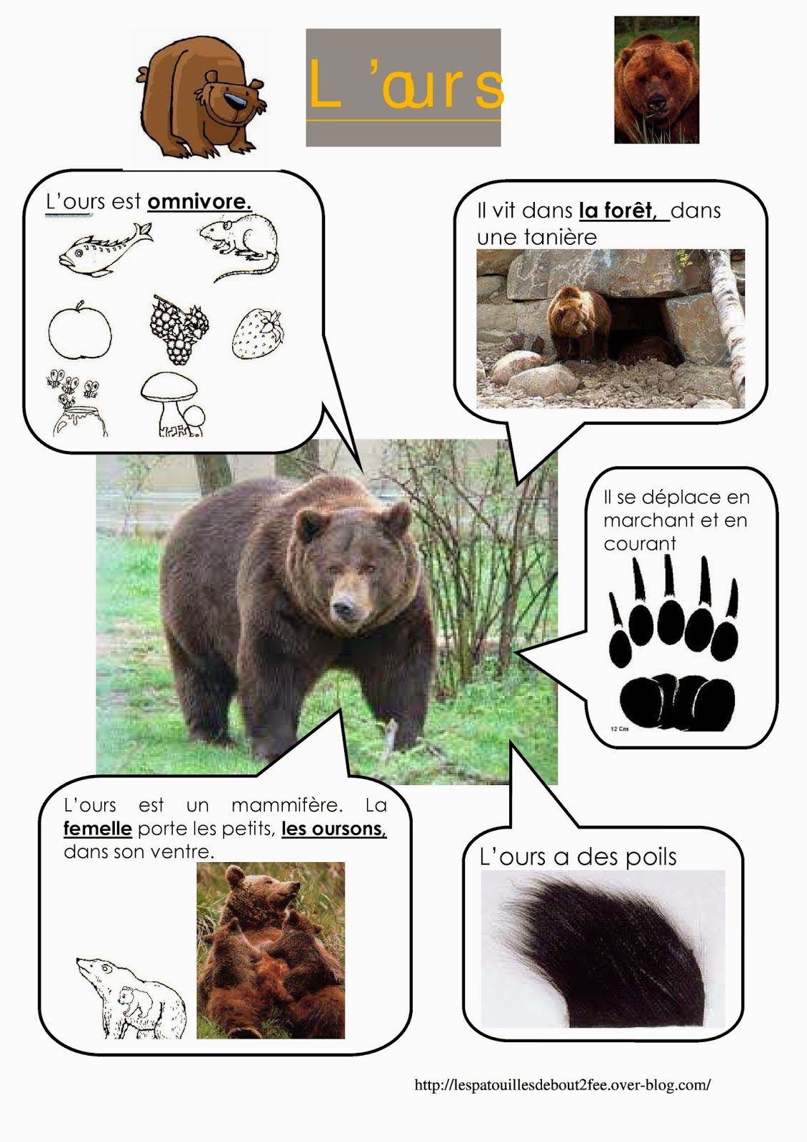 Garderie L Ours La Fouine Et Le Lion