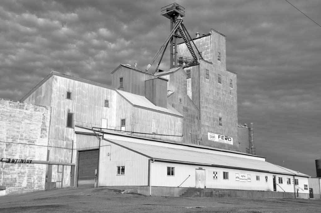 Taken For Granted CoOp Elevator