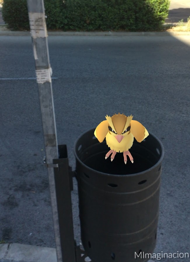 PokemonGO. Madre Imaginacion. MImaginacion