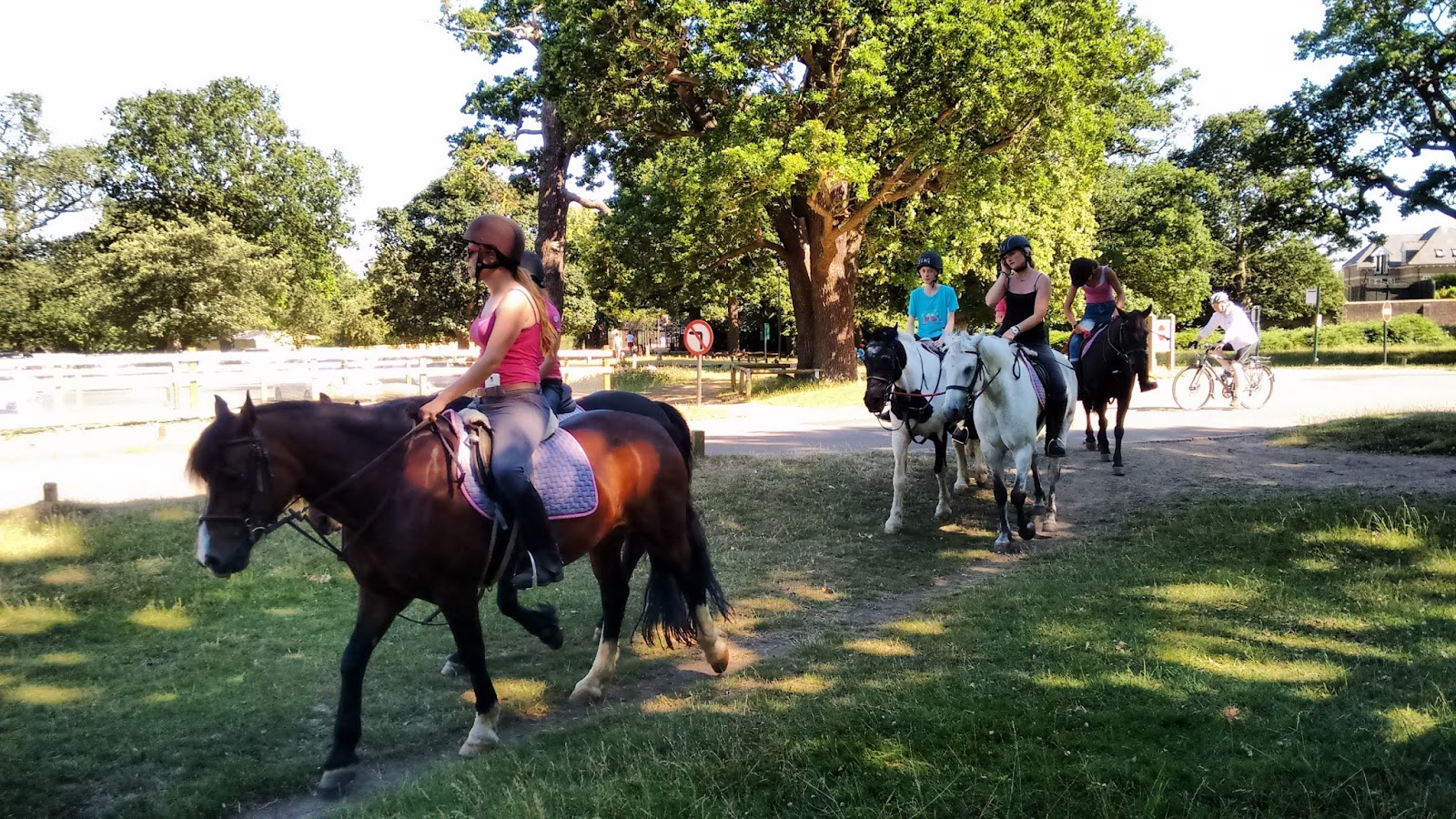 Horse riding in Richmond Park