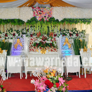 Kata Sambutan Pernikahan Mempelai Pria - crystallovescountry