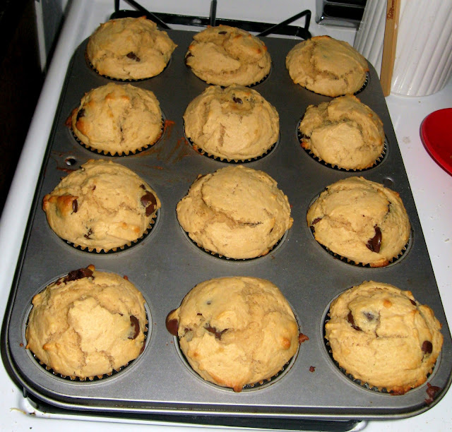 Peanut Butter Chocolate Chip Muffins