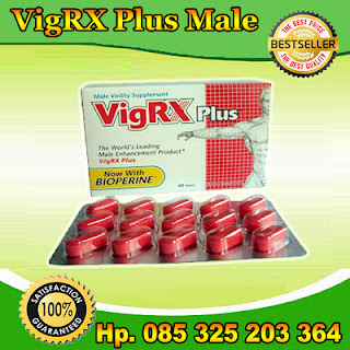 obat pembesar penis,pembesar penis vigrxplus,pembesar alami,penis besar alami,vigrxplus